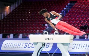 schwaiger alfred aut sfe07401 copia simone ferraro ph